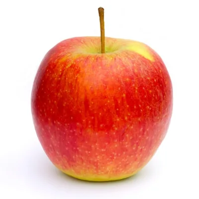 Crisp Pinova Apple from Our Orchard