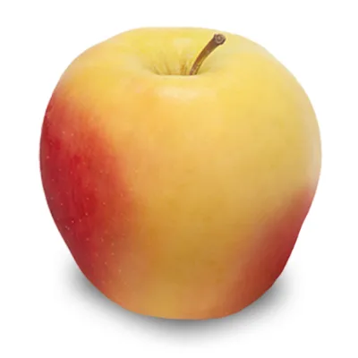 ambrosia Apples