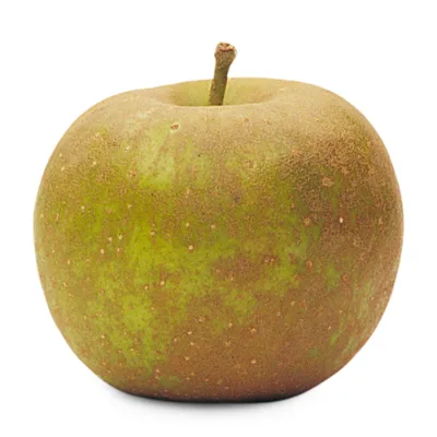Golden Russet