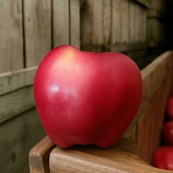 Stark Jumbo Apple